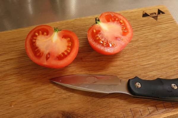 [Cuchillo recomendado por el escritor de EDC] ¡Presentamos el "Cuchillo Sabi 2" de G ・ SAKAI que no se oxida incluso si se pone en agua salada durante un año! , Escudo