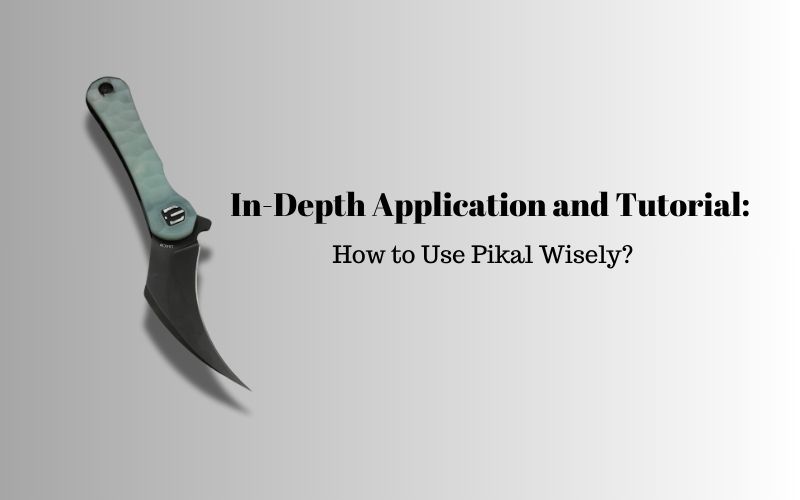 In-Depth Application and Tutorial: How to Use Pikal Wisely?, Shieldon